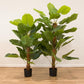 Artificial Plant ALOCASIA H.115cm