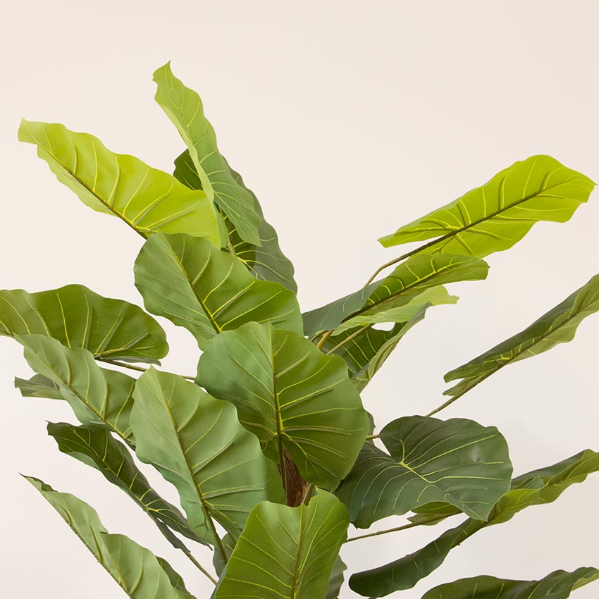 Planta Artificial ALOCASIA A.114cm