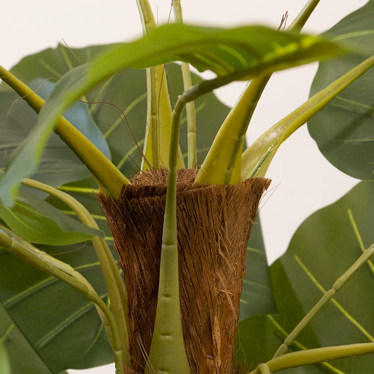 Planta Artificial ALOCASIA A.114cm