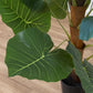 Planta Artificial ALOCASIA A.114cm