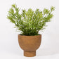 Artificial Plant ASPARGUEIRA H.46cm