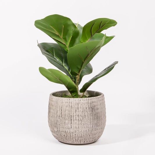 Artificial Plant FICUS H.34cm