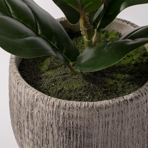 Planta Artificial FICUS A.34cm