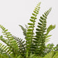 Artificial Plant FERN H.46cm