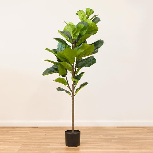 Planta Artificial FICUS A.131cm