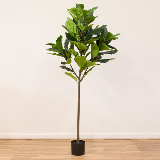 Planta Artificial FICUS A.160cm