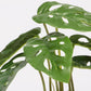 Planta Artificial MONSTERA A.20cm