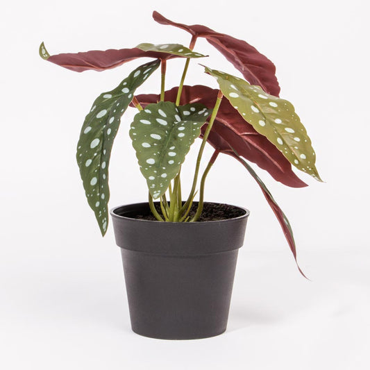 Planta Artificial BEGONIA A.21cm