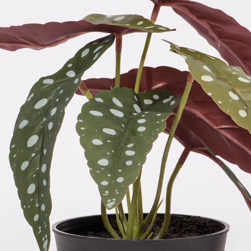 Artificial Plant BEGONIA H.21cm