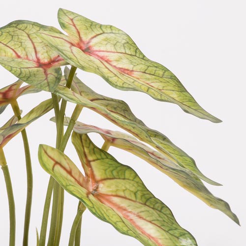 Planta Artificial CALADIUM A.21cm