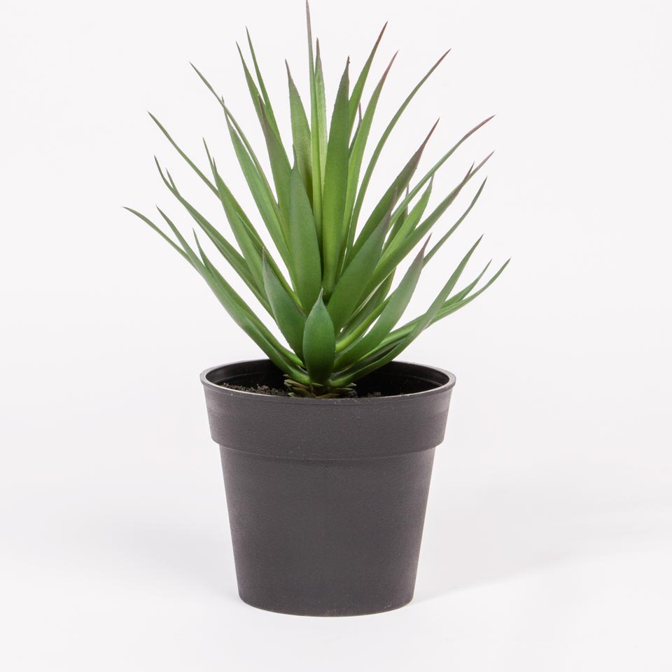 Planta Artificial SUCULENTA A.21cm