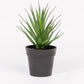 Planta Artificial SUCULENTA A.21cm