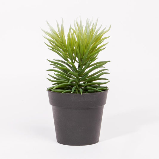 Artificial SUCCULENT Plant H.20cm