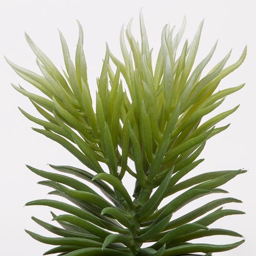 Artificial SUCCULENT Plant H.20cm