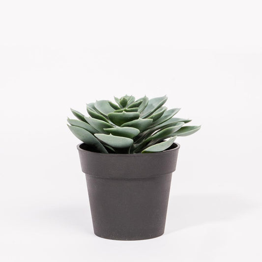 Planta Artificial SUCULENTA A.14cm