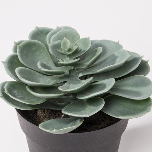 Planta Artificial SUCULENTA A.14cm