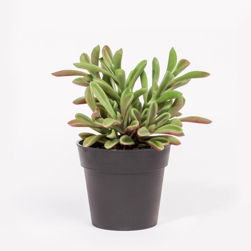 Planta Artificial SUCULENTA A.19cm