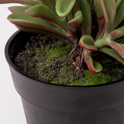 Artificial SUCCULENT Plant H.19cm