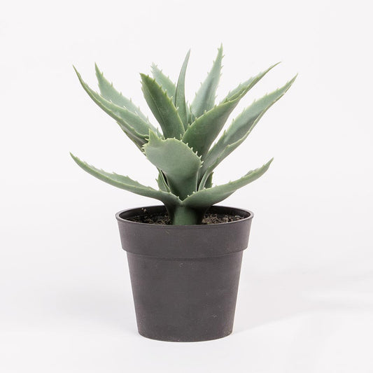 Artificial SUCCULENT Plant H.20cm