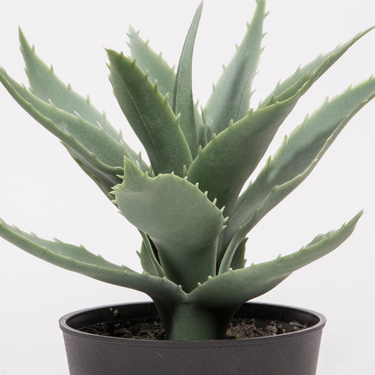 Artificial SUCCULENT Plant H.20cm