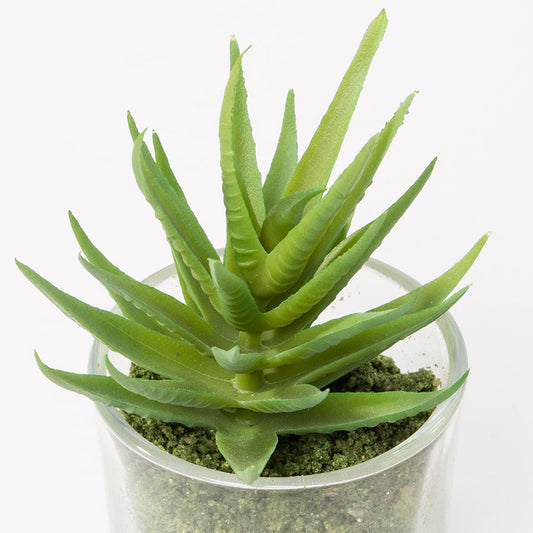 Artificial SUCCULENT Plant H.13cm