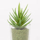 Artificial SUCCULENT Plant H.13cm