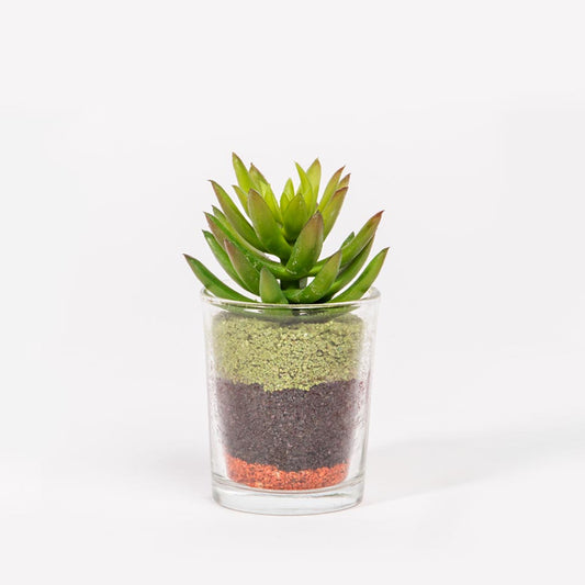 SUCCULENT Artificial Plant H.10cm