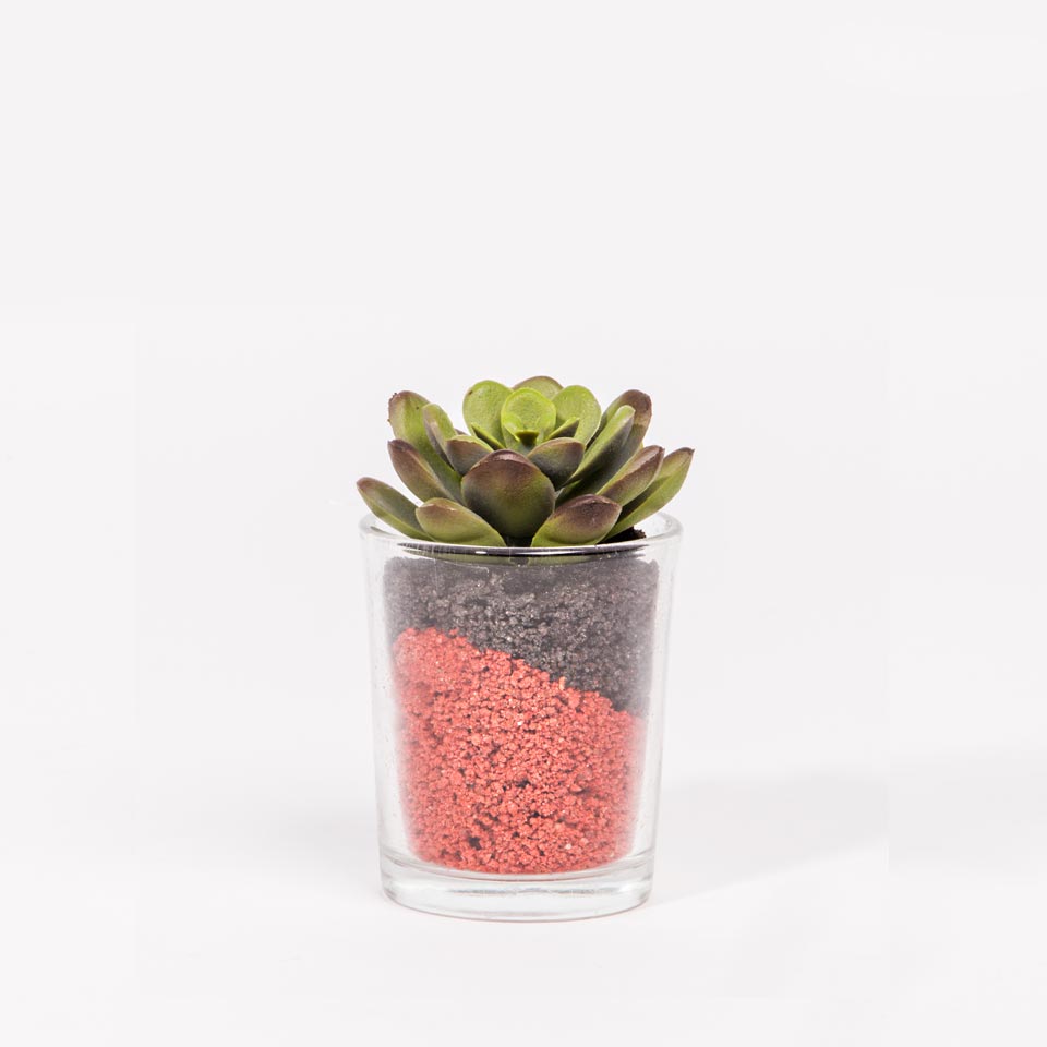 Artificial SUCCULENT Plant H.7cm