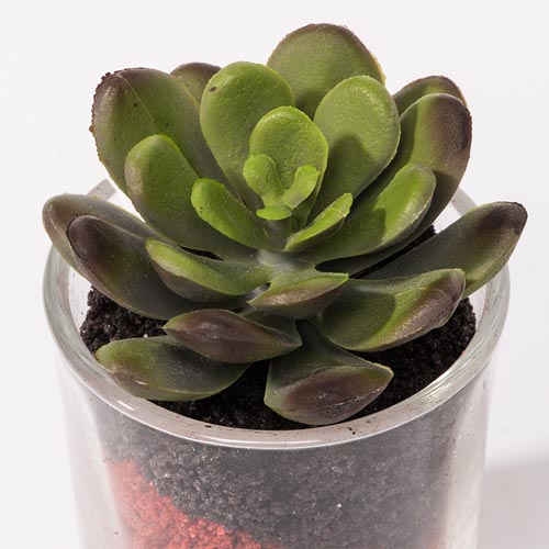 Artificial SUCCULENT Plant H.7cm