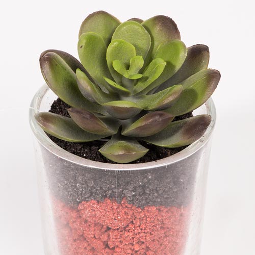 Artificial SUCCULENT Plant H.7cm