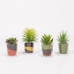 Artificial SUCCULENT Plant H.7cm