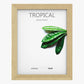 Moldura TROPICAL Natural 22x28cm