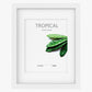 Moldura TROPICAL Branco 28x35cm