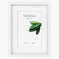 Moldura TROPICAL Branco 30x40cm