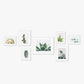 Conjunto de 7 Molduras DALIU Branco