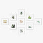 Conjunto de 9 Molduras RENOA Branco
