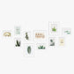 Conjunto de 11 Molduras MONRO Branco