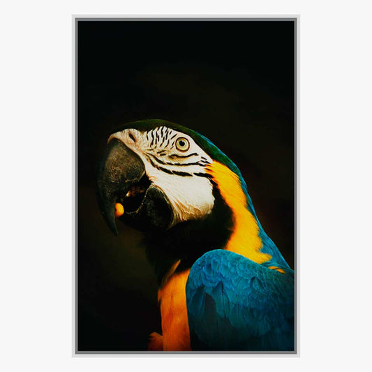 https://media.lojaviva.pt/images/P130788541_1.jpg