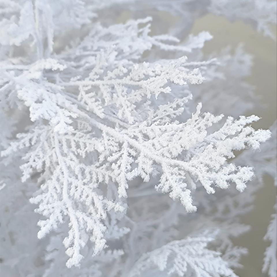Árvore de Natal TUIA LED A.180cm