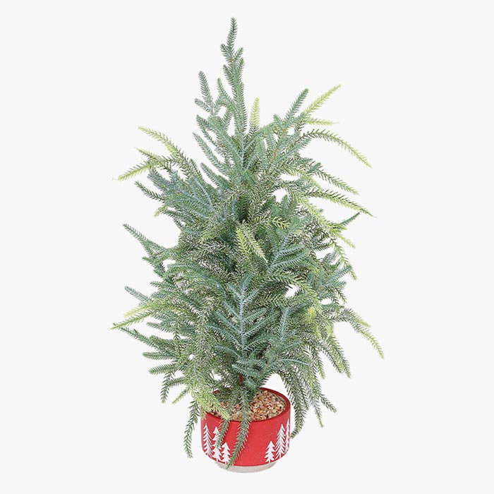 https://media.lojaviva.pt/images/P151197638_1.jpg