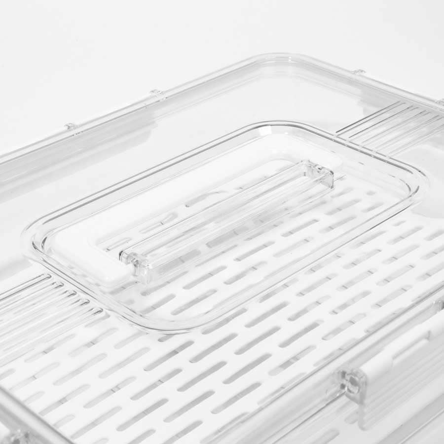 Caixa Organizadora com Tampa para Frigorífico FRESHNESS 2.6L