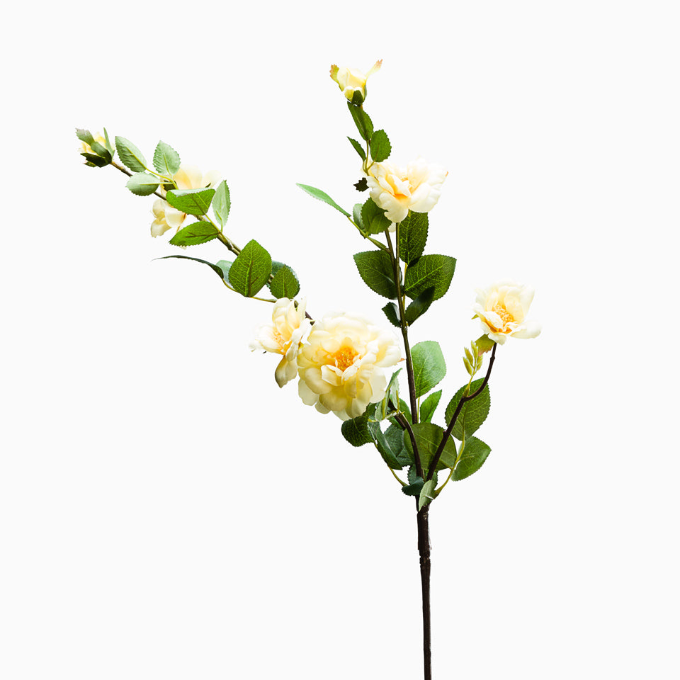 https://media.lojaviva.pt/images/p050184903_1.jpg